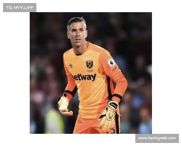 布雷斯特前锋德尔卡斯蒂略的逆袭：从法乙到射手榜