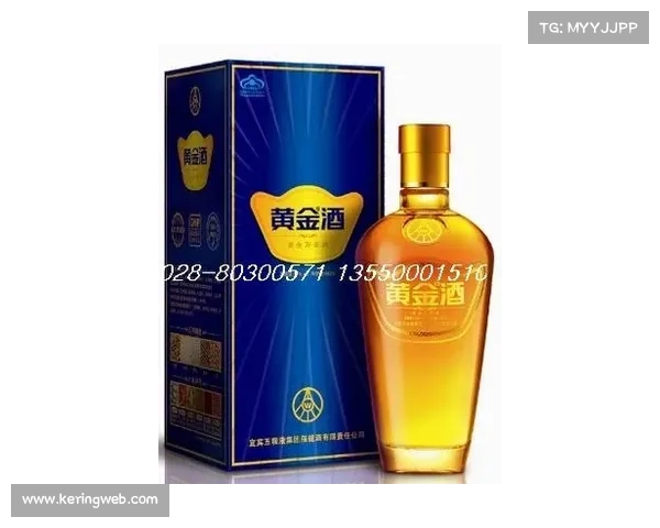 五粮液文体中心备战忙，成都蓉城新帅约翰·阿洛伊西推行澳系442战术